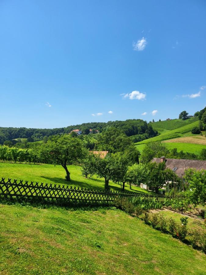 Ferienhaus Zangl Am Seggauberg - Suedsteiermark Лейбниц Экстерьер фото