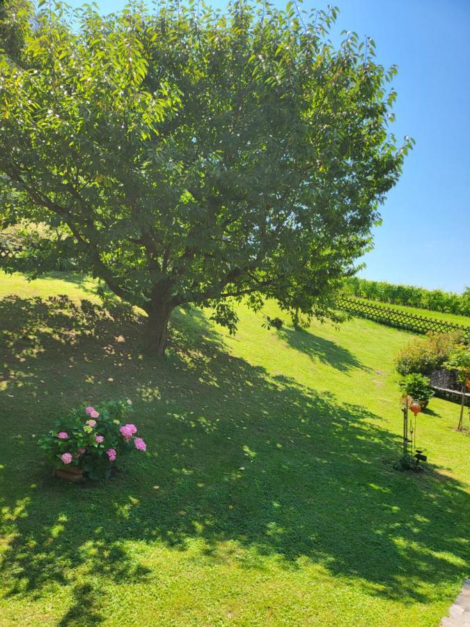 Ferienhaus Zangl Am Seggauberg - Suedsteiermark Лейбниц Экстерьер фото